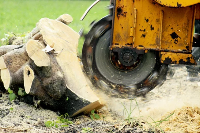 A machine is cutting a tree stump in the ground.