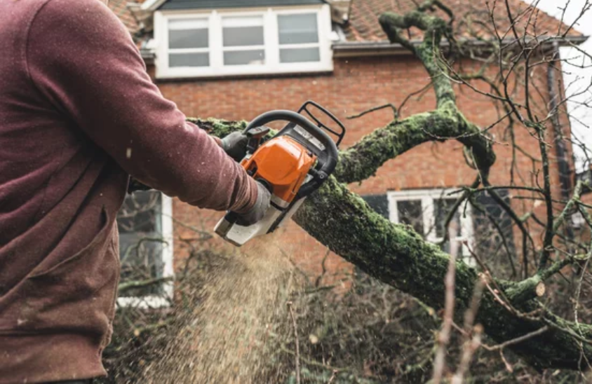 A man is cutting a tree branch with a chainsaw in front of a house.