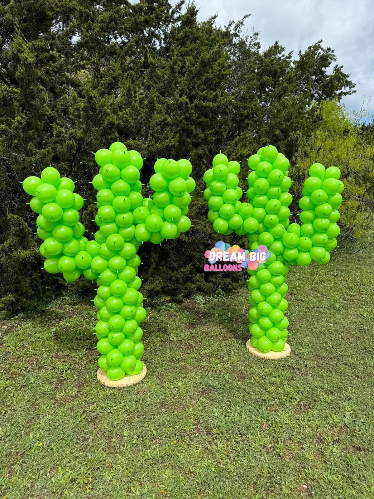 A cactus made out of green balloons is sitting on top of a lush green field.