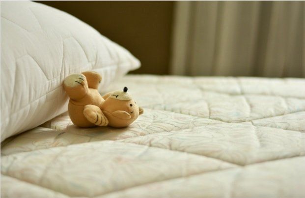 Teddy Bear On Bed — Muncie, IN — American Pest Control