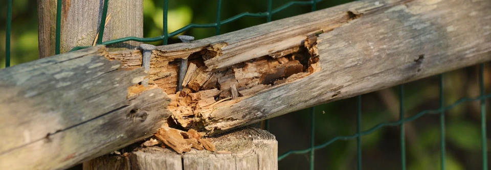 Broken Fence — Muncie, IN — American Pest Control