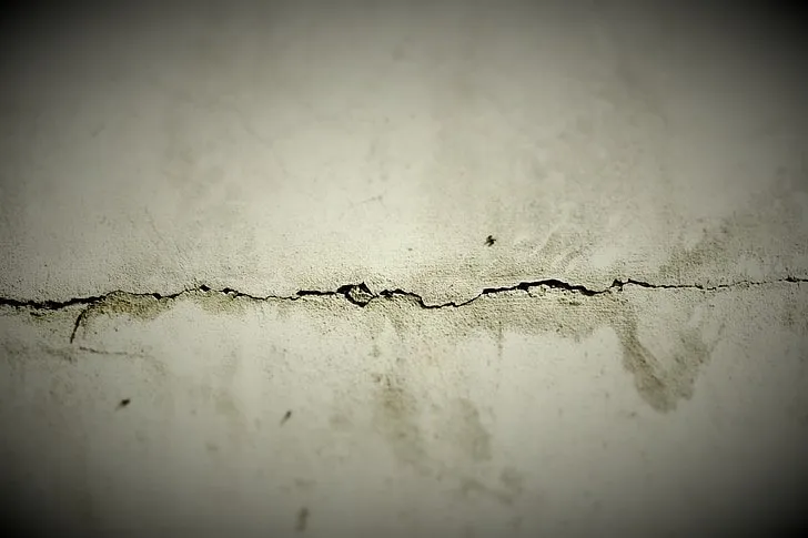 Crack On Wall — Muncie, IN — American Pest Control
