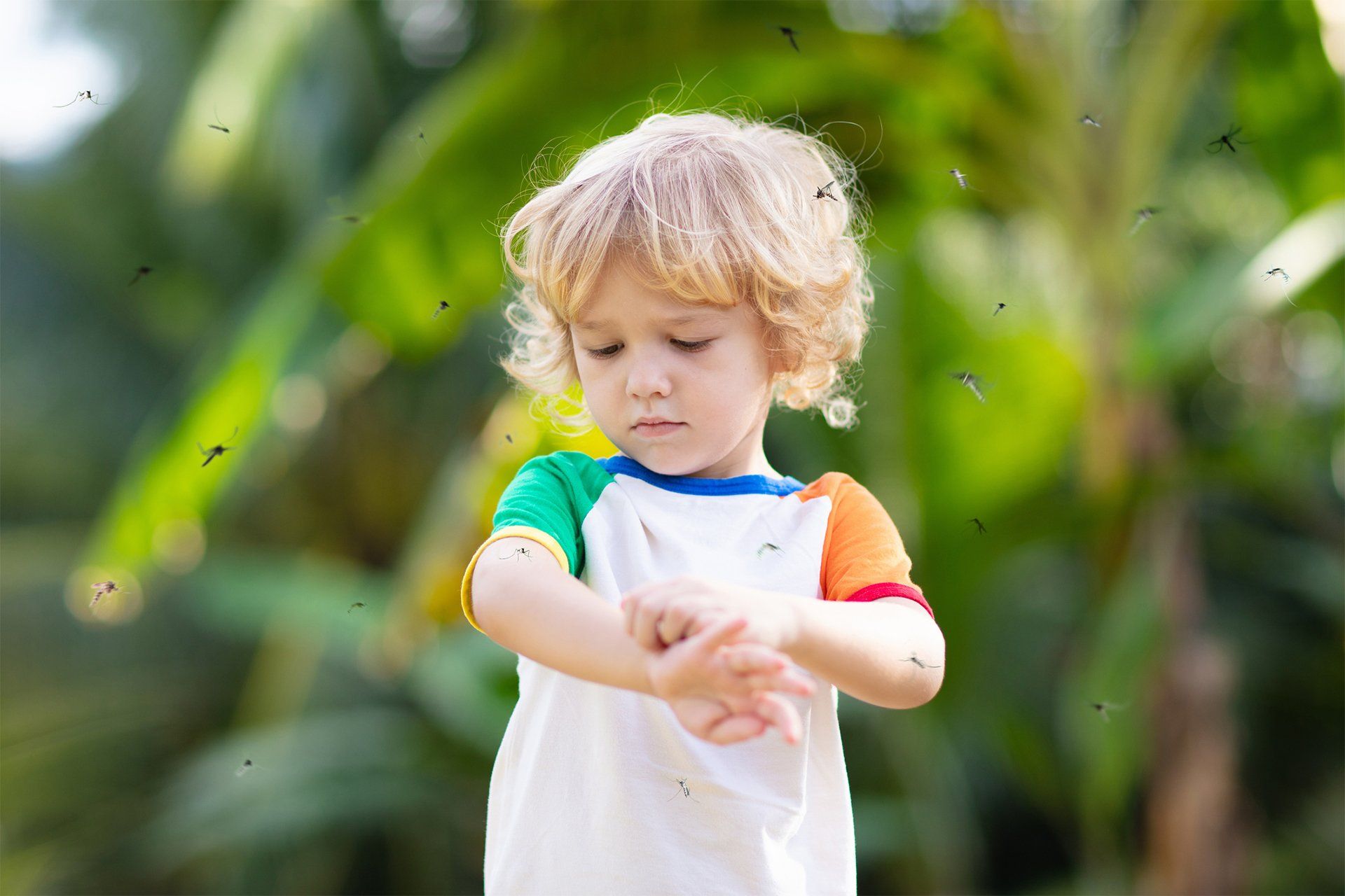 Mosquitoes Flying Around On A Kid — Muncie, IN — American Pest Control