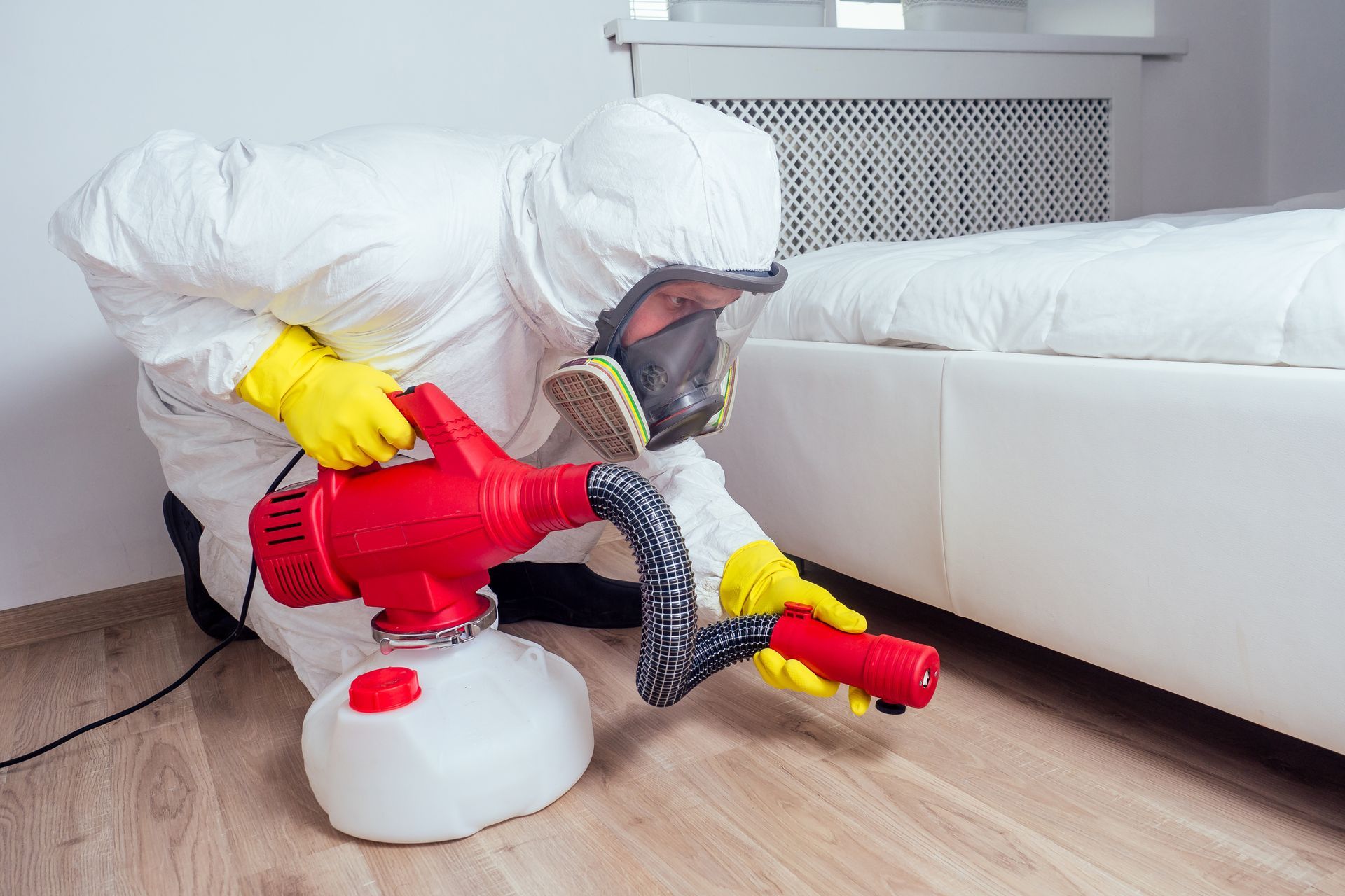 A pest control worker lying on the floor and spraying pesticides for bed bug extermination.