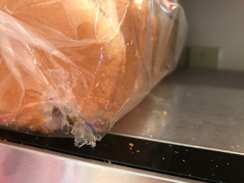 Pest On Bread — Muncie, IN — American Pest Control