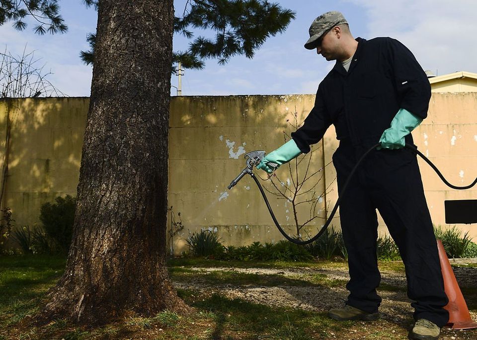 Spraying Pesticide On Tree — Muncie, IN — American Pest Control