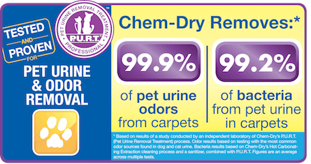 Pet Urine & Odor Removal Banner