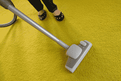 Carpet Cleaning — Vacuum Cleaner in Ocean Springs, MS