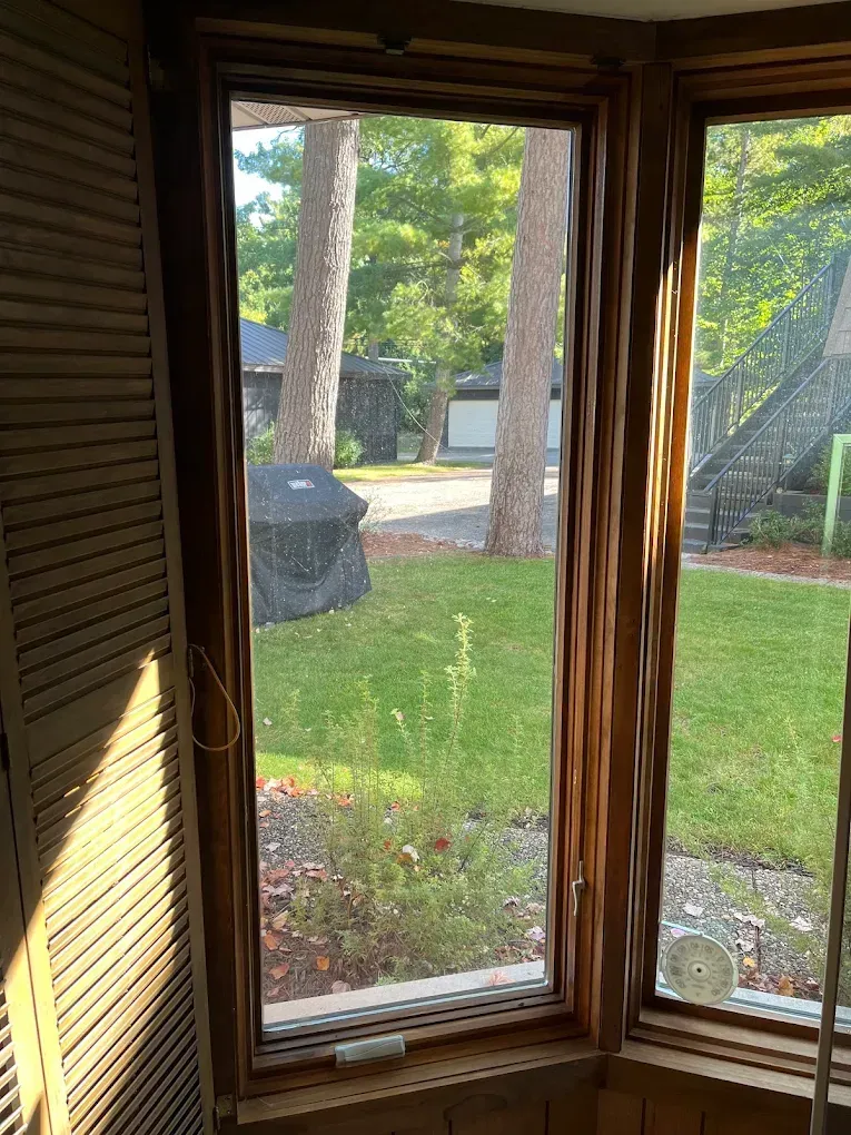 Wooden-framed window with view of yard, trees, and buildings. Closed louvered door is to the left.