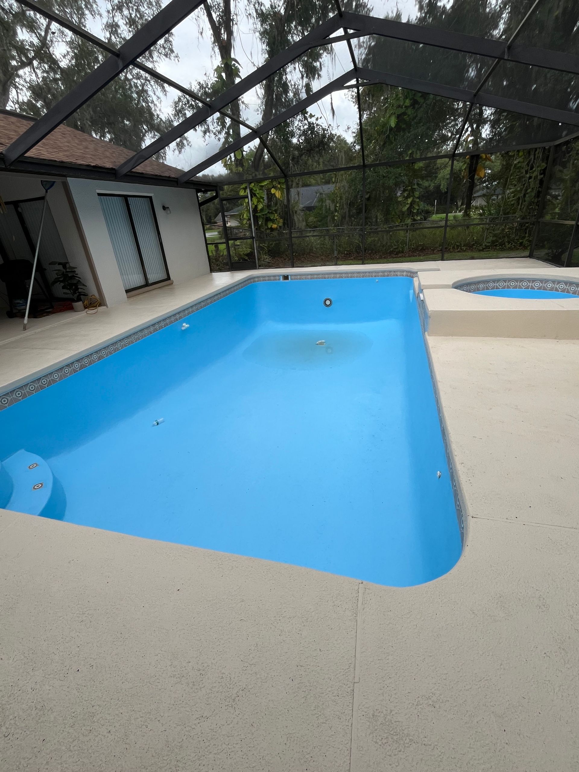 Empty rectangular pool, blue interior, surrounded by light concrete, under a screen enclosure.