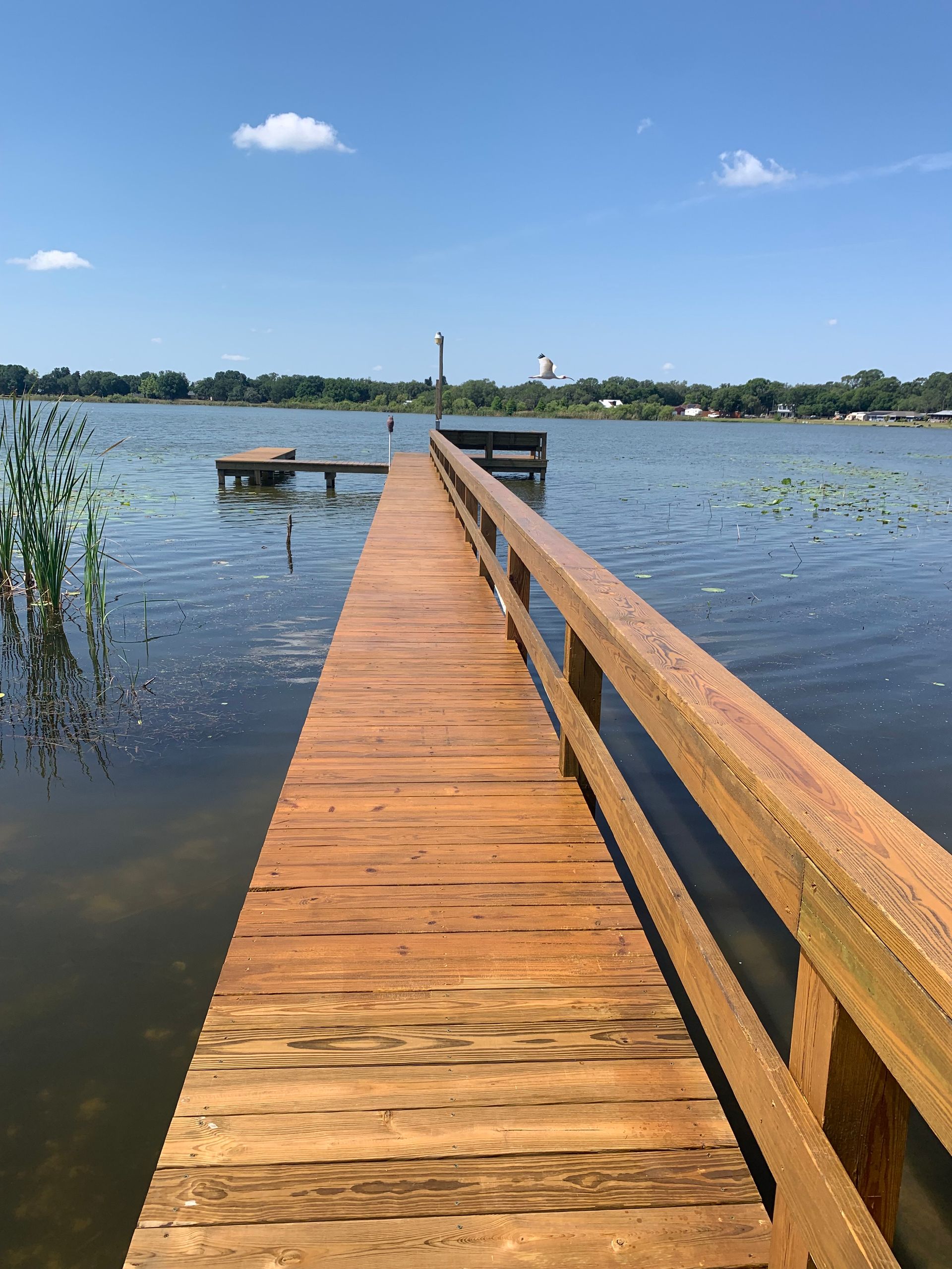 Wooden dock extending into a lake, with railings and a small structure at the end, under a blue sky.