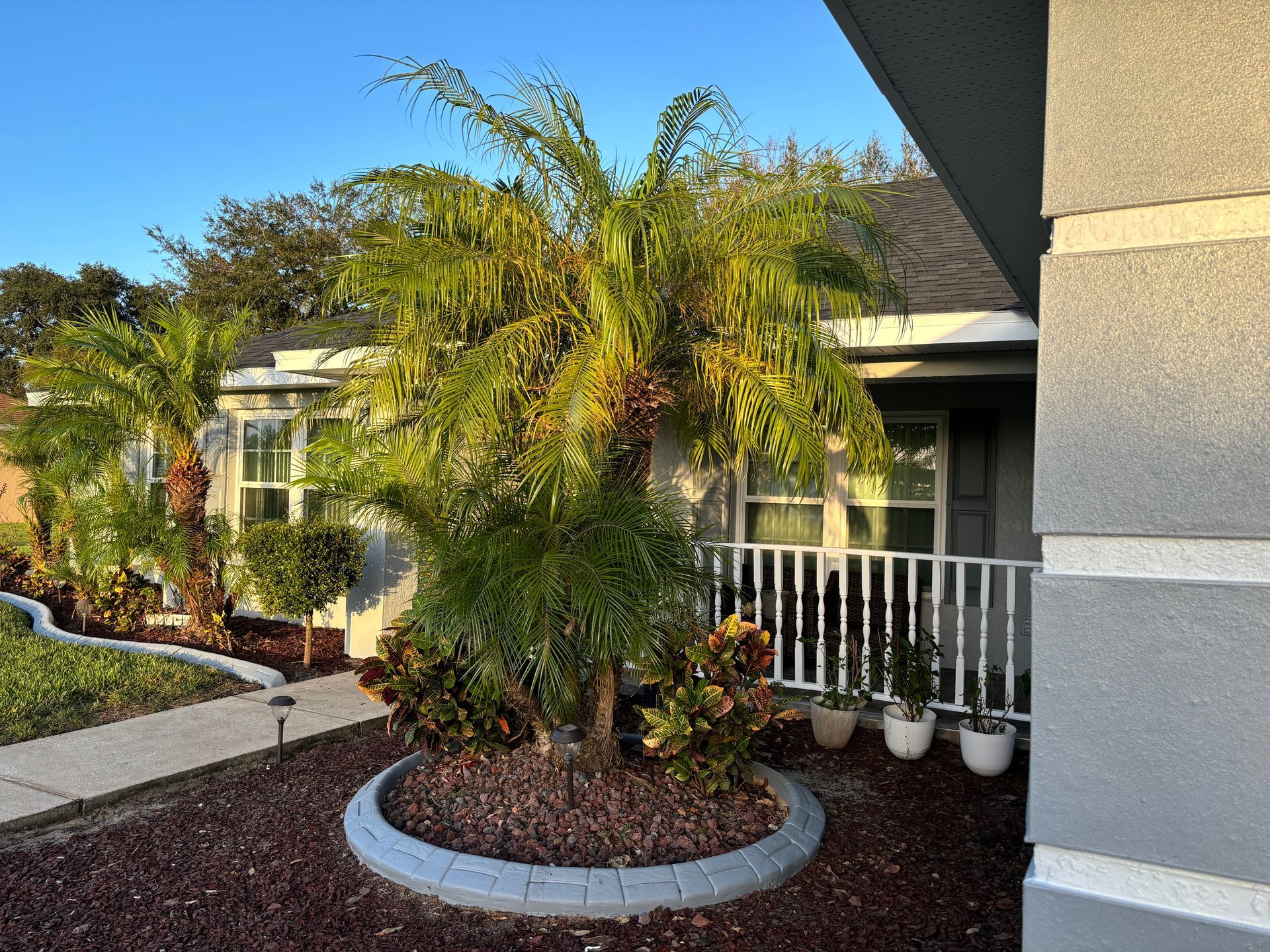 Palm trees and landscaping in front of a house with a gray exterior and white porch railing.