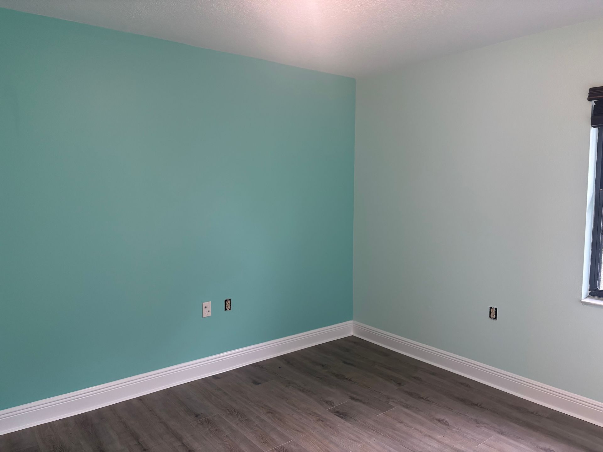 Empty room with teal and light green walls, white trim, dark wood-look floor, and a window with a black frame.