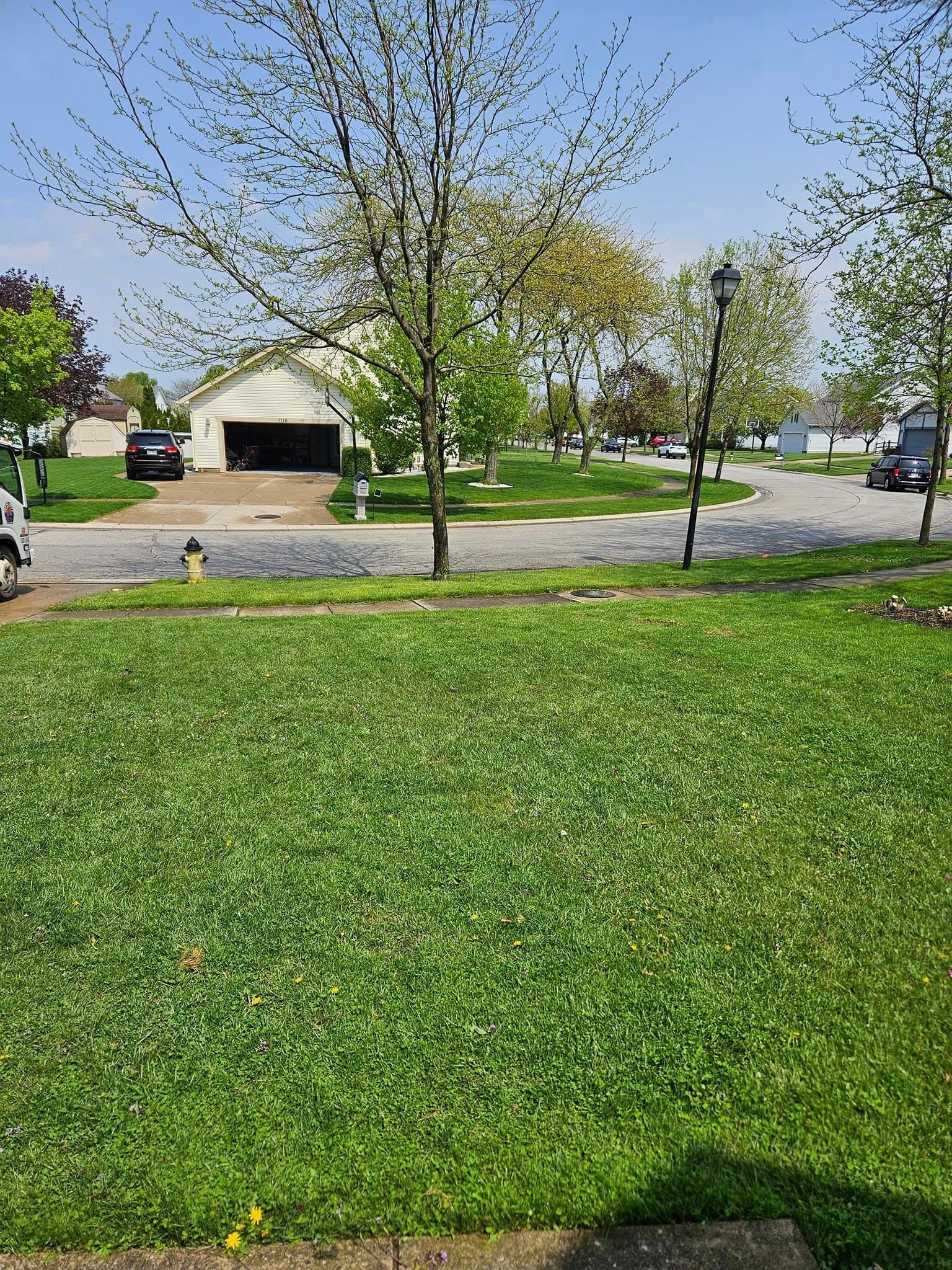 yard waste removal toledo