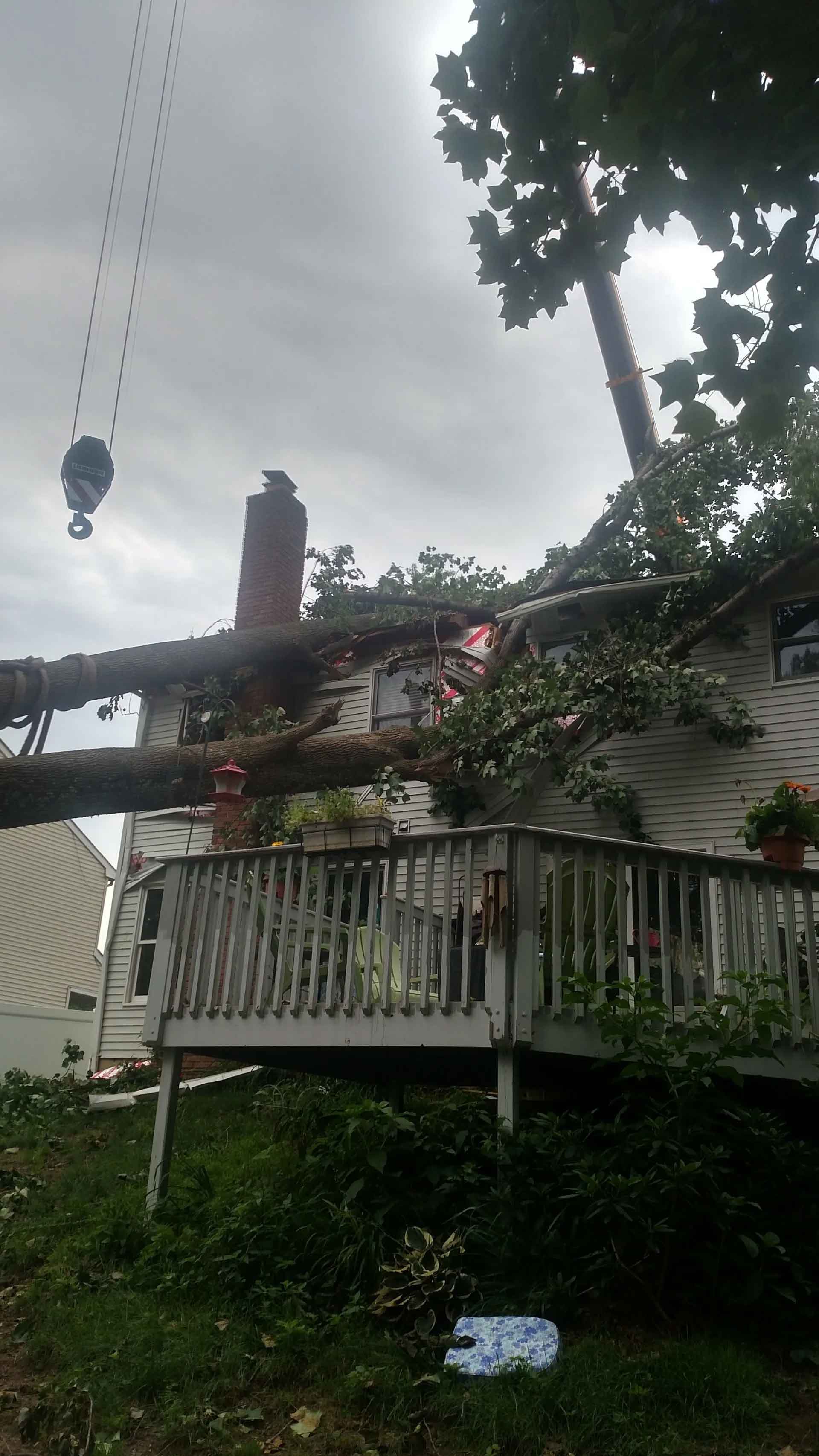 Fallen Tree on the House — Washington Township, NJ — KC Tree Service