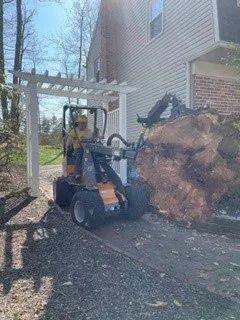 Wheel Loader Moving Big Tree Stump — Washington Township, NJ — KC Tree Service