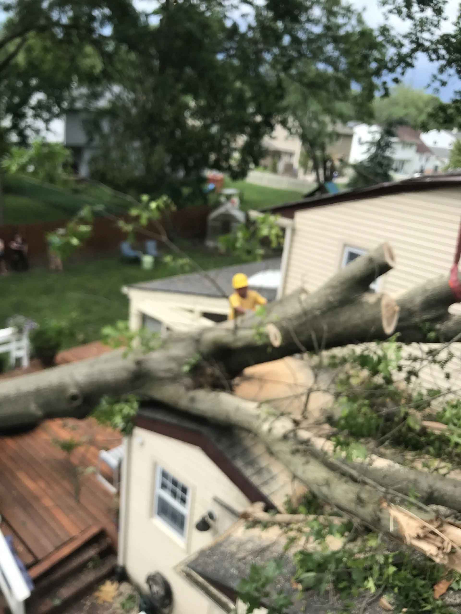 Man Working on Tree Removal — Washington Township, NJ — KC Tree Service