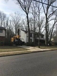 Residential Area — Washington Township, NJ — KC Tree Service