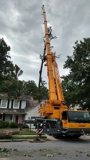 Arborist — Washington Township, NJ — KC Tree Service