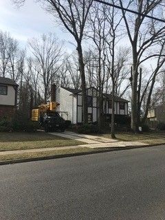Man Cutting Tree Branches — Washington Township, NJ — KC Tree Service