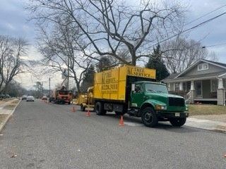 A home getting help for their trees from a tree company serving Mullica Hill, NJ