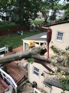 Arborist on a Tree Crane — Washington Township, NJ — KC Tree Service