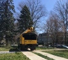 Arborist Cutting Tree with Chainsaw — Washington Township, NJ — KC Tree Service