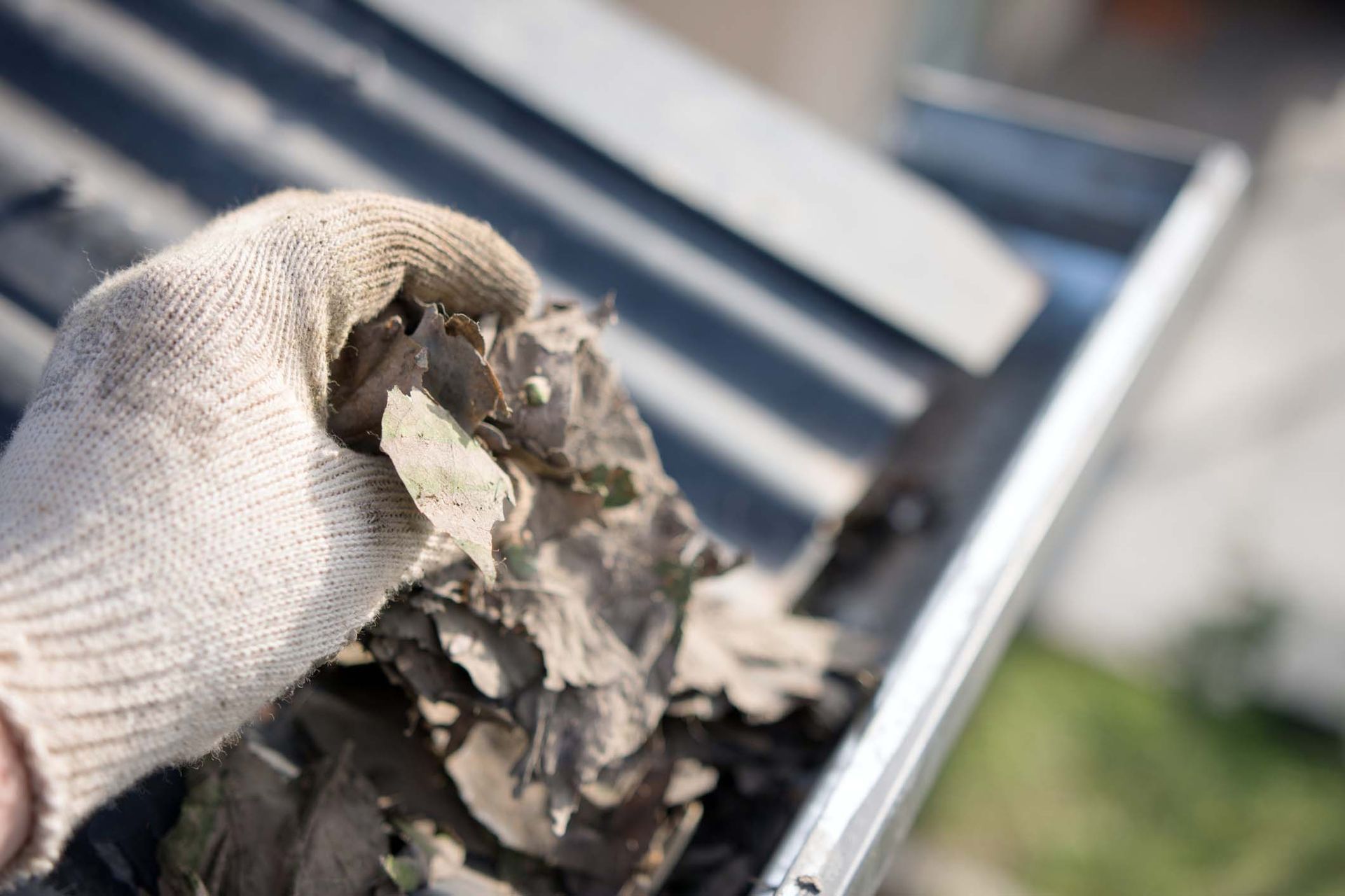 A person is cleaning a gutter with a glove