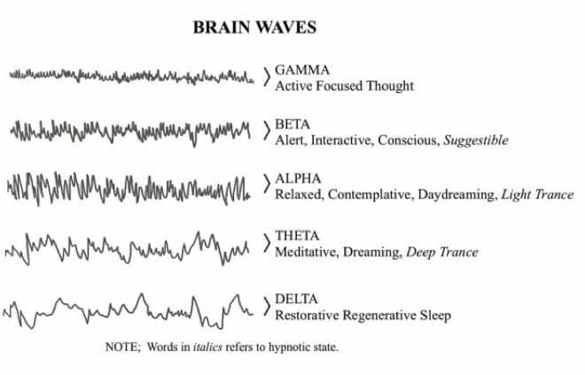 A list of brain waves including gamma beta alpha and delta