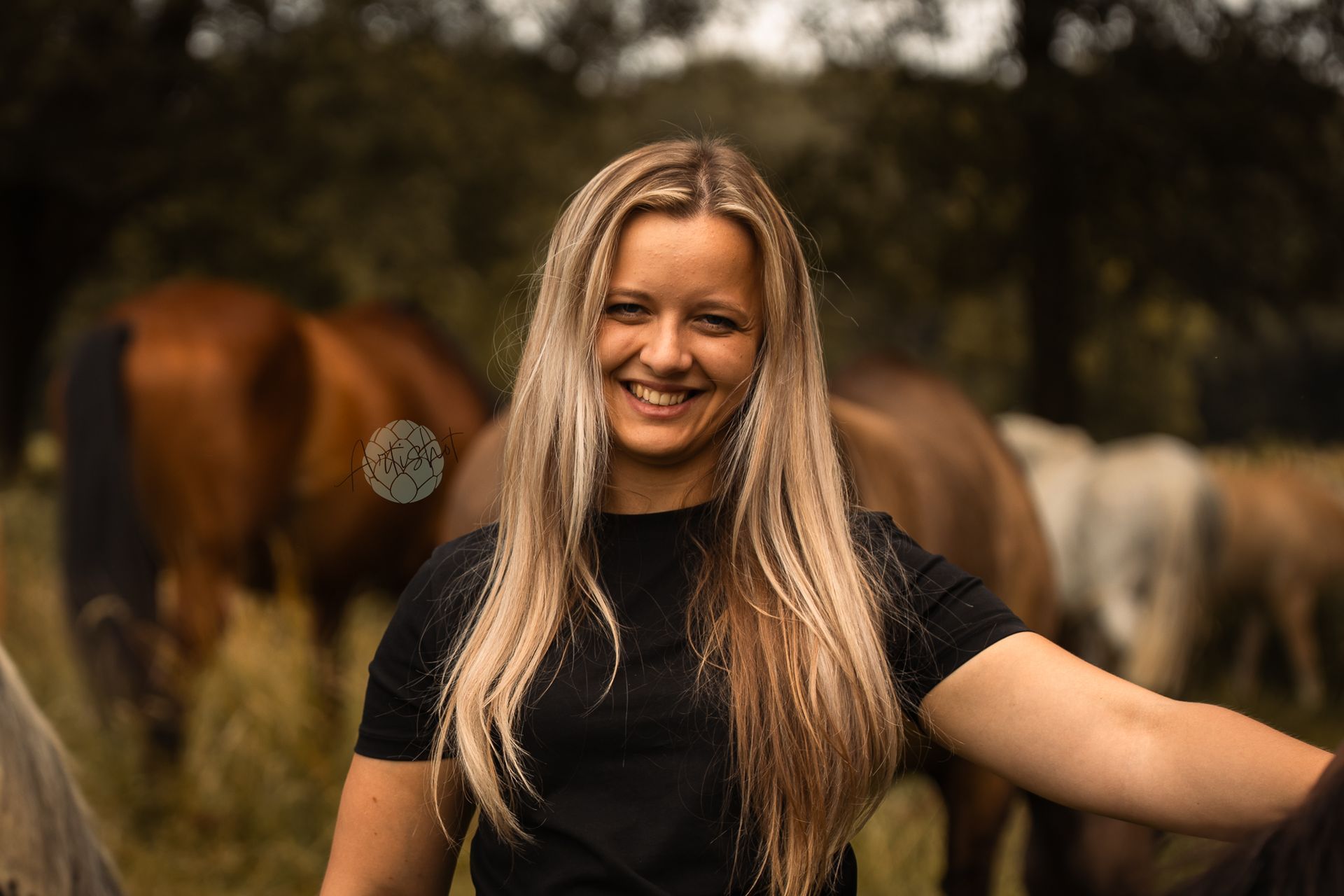 Paarden fotograaf Artishot Photography