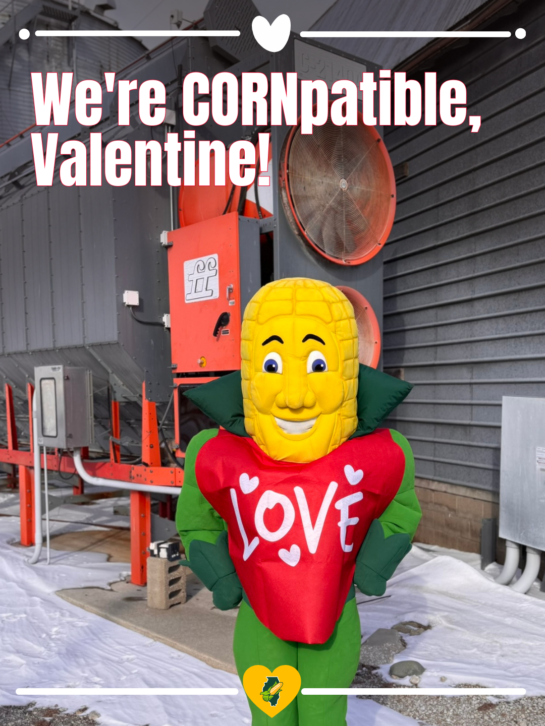 Valentine's Day Corny Card