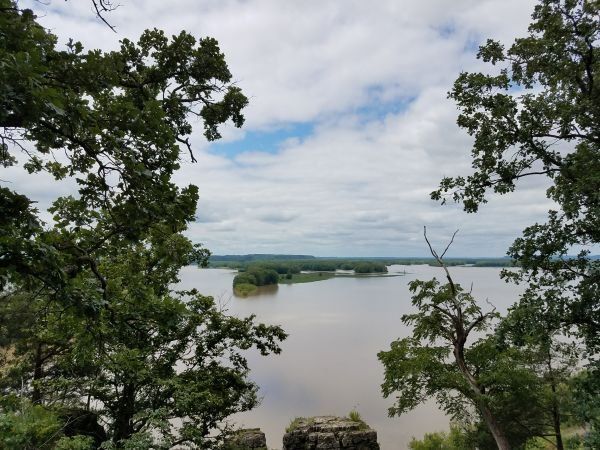A large body of water surrounded by trees on a cloudy day