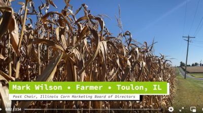 A video of a corn field with the name mark wilson on it