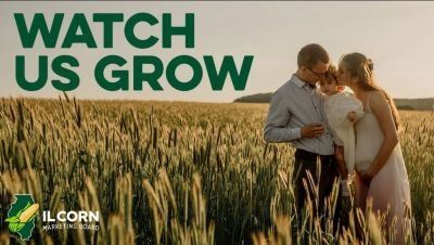 A family is standing in a field of wheat.