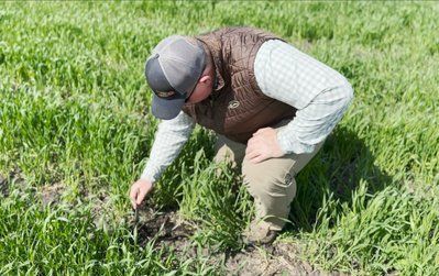 A man is kneeling down in a field of grass.