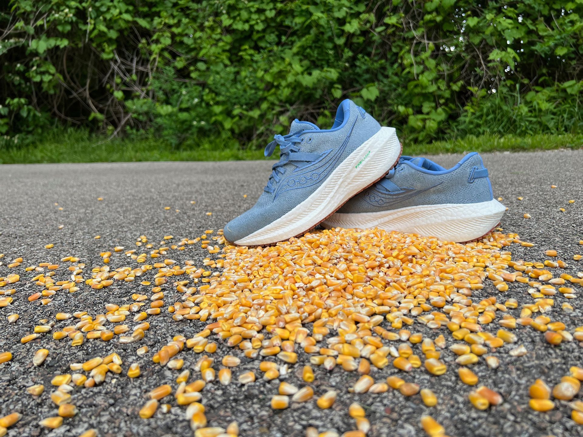 corn shoes on top of corn