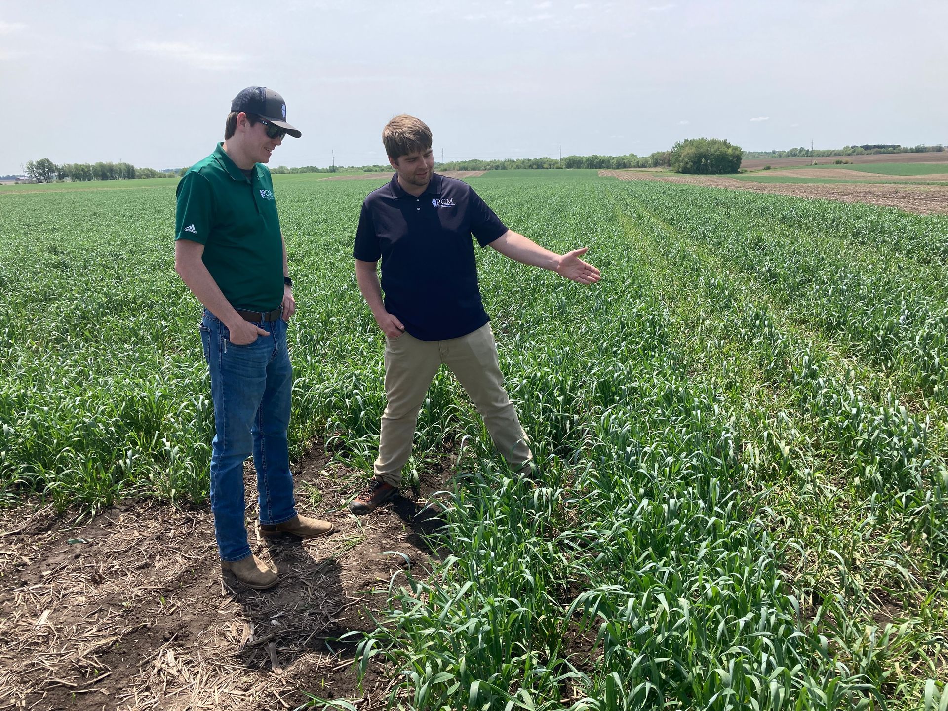 Two men in a green field, one points at crops, the other looks on.