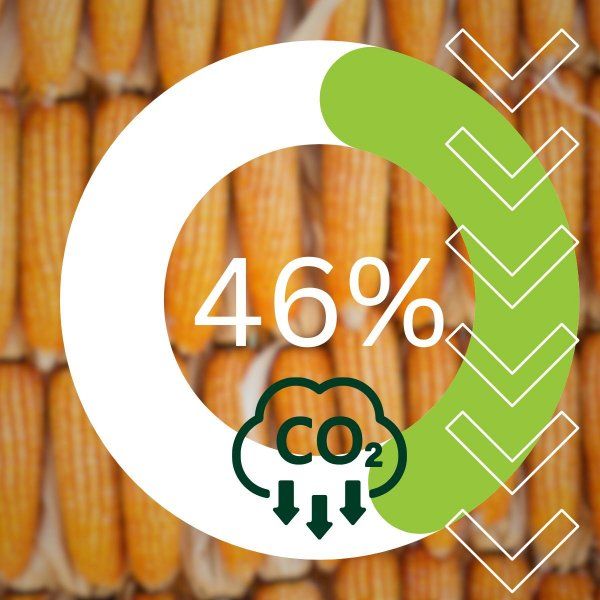 A pie chart showing the percentage of co2 emissions from corn