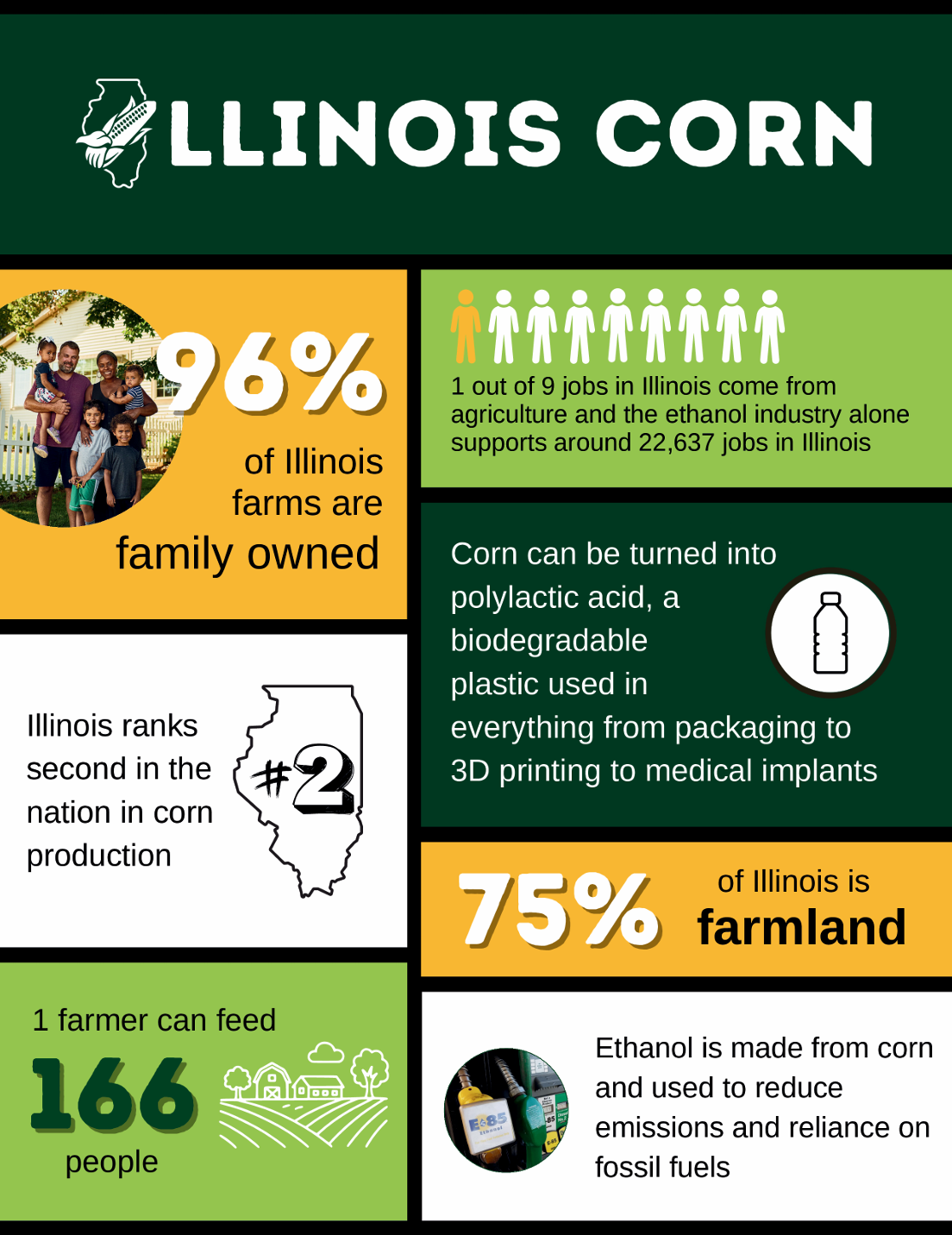 Illinois corn infographic with farm ownership, rankings, 75% farmland, and livestock feed facts