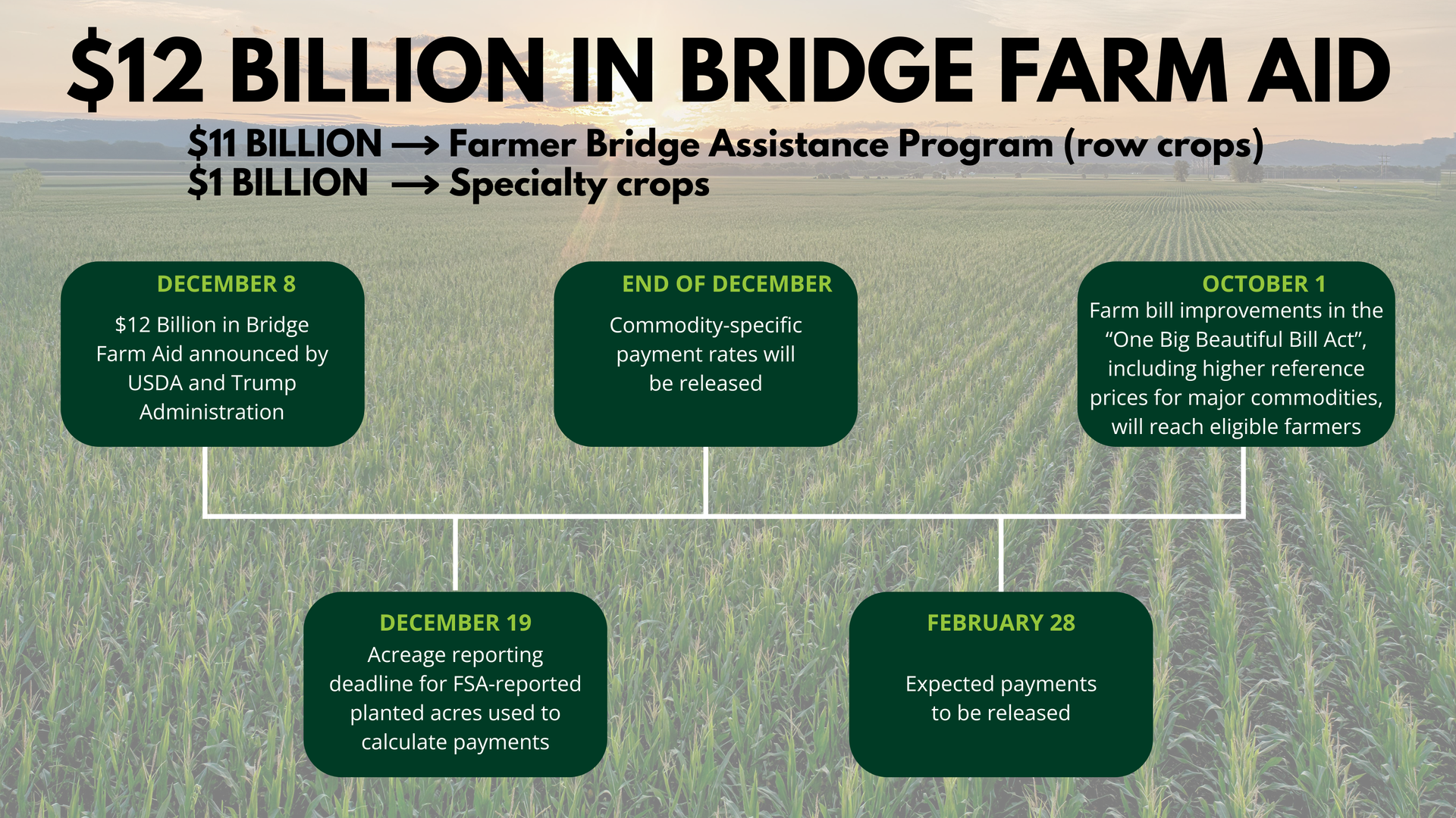 $12 Billion in Bridge Farm Aid for Farmers