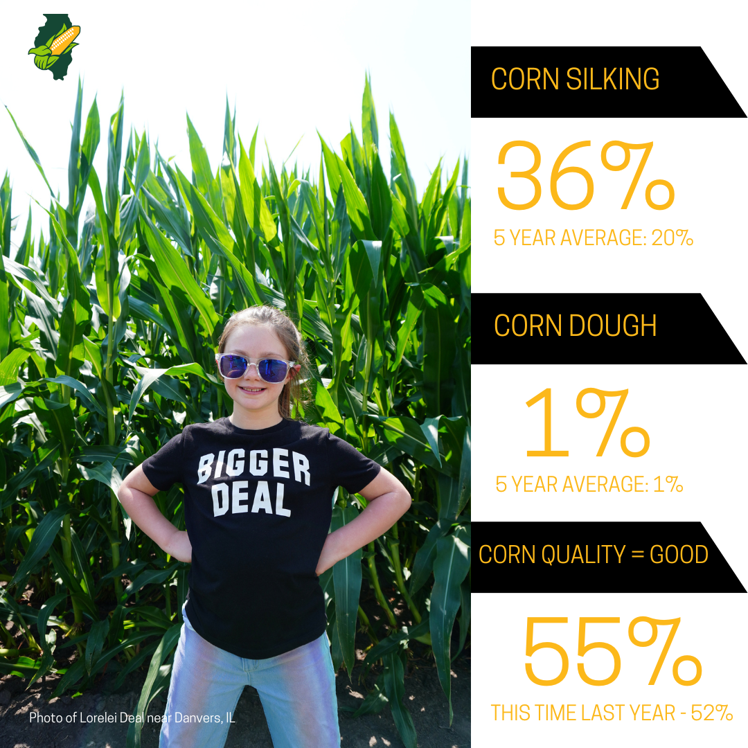 A young girl in front of corn stalks with text showing corn silking at 36% and corn quality at good.