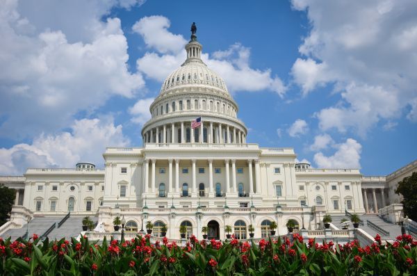 The capitol building in washington d.c. is surrounded by flowers on a sunny day.
