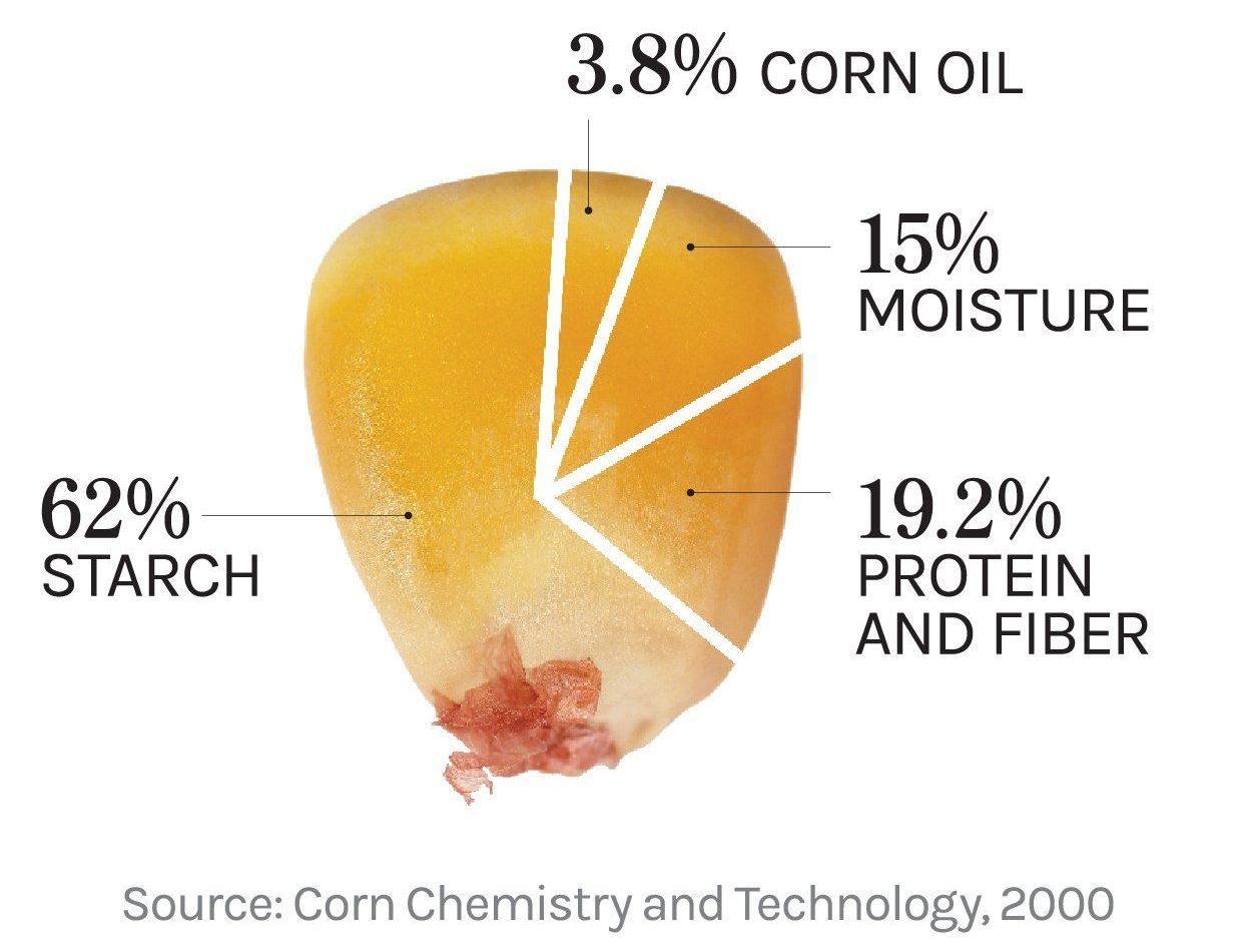 A pie chart showing the percentage of corn oil moisture and starch