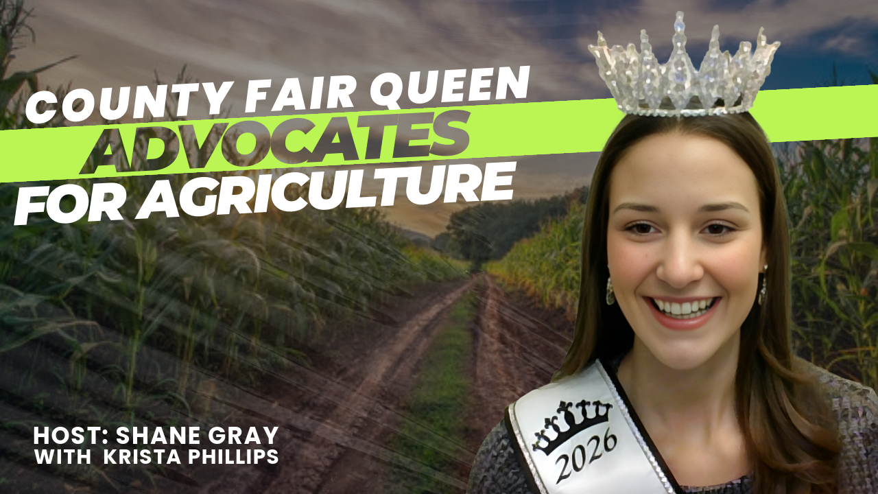 thumbnail of Phillips