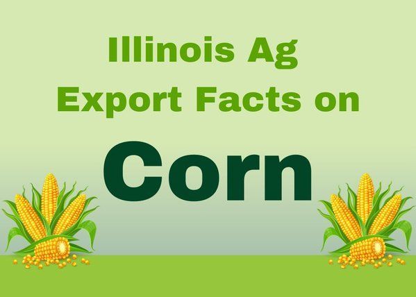 A poster that says illinois ag export facts on corn