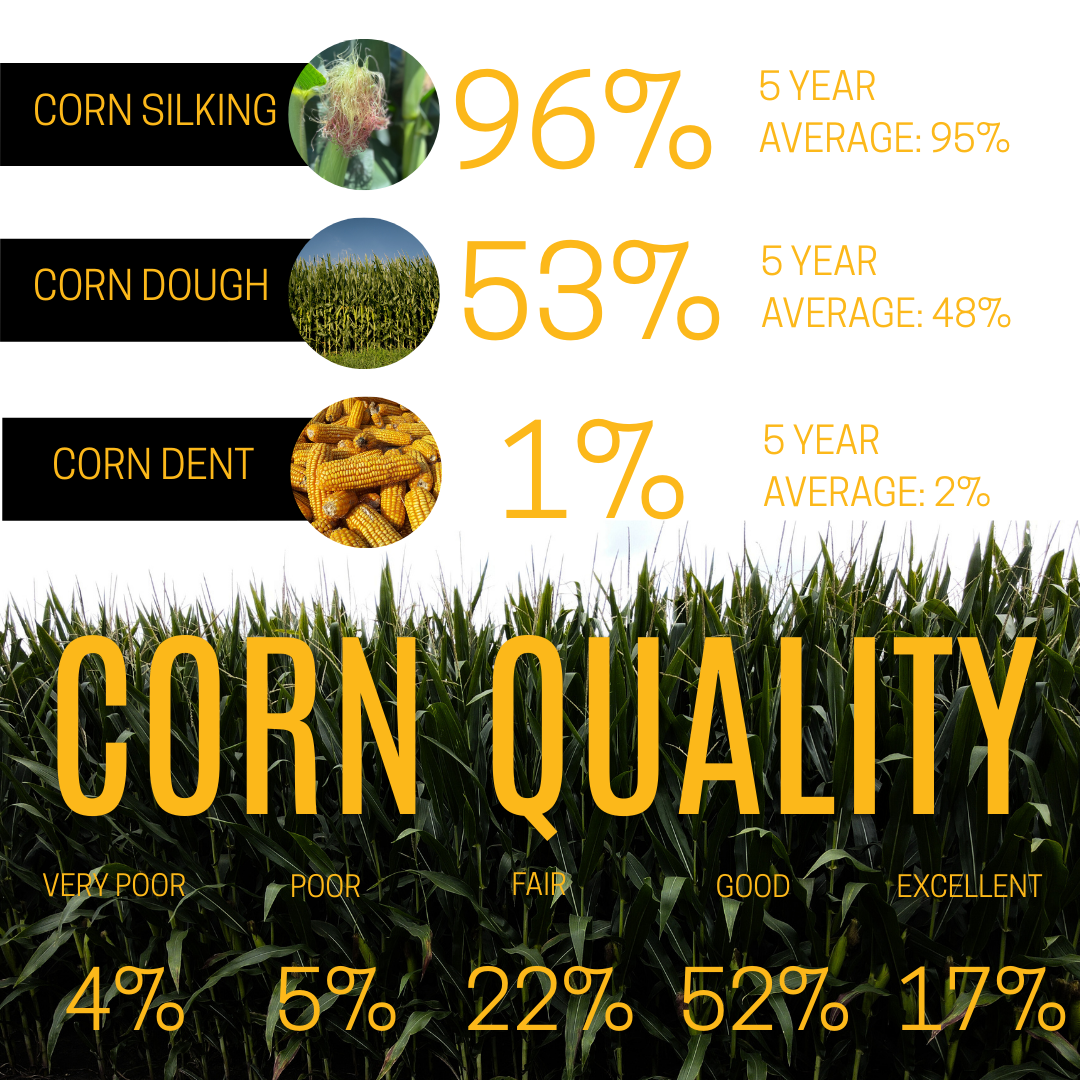 Corn quality report: Stages of development, silking 96%, dough 53%, dent 1%. Quality: Poor 4%, Fair 22%, Good 52%, Excellent 17%.