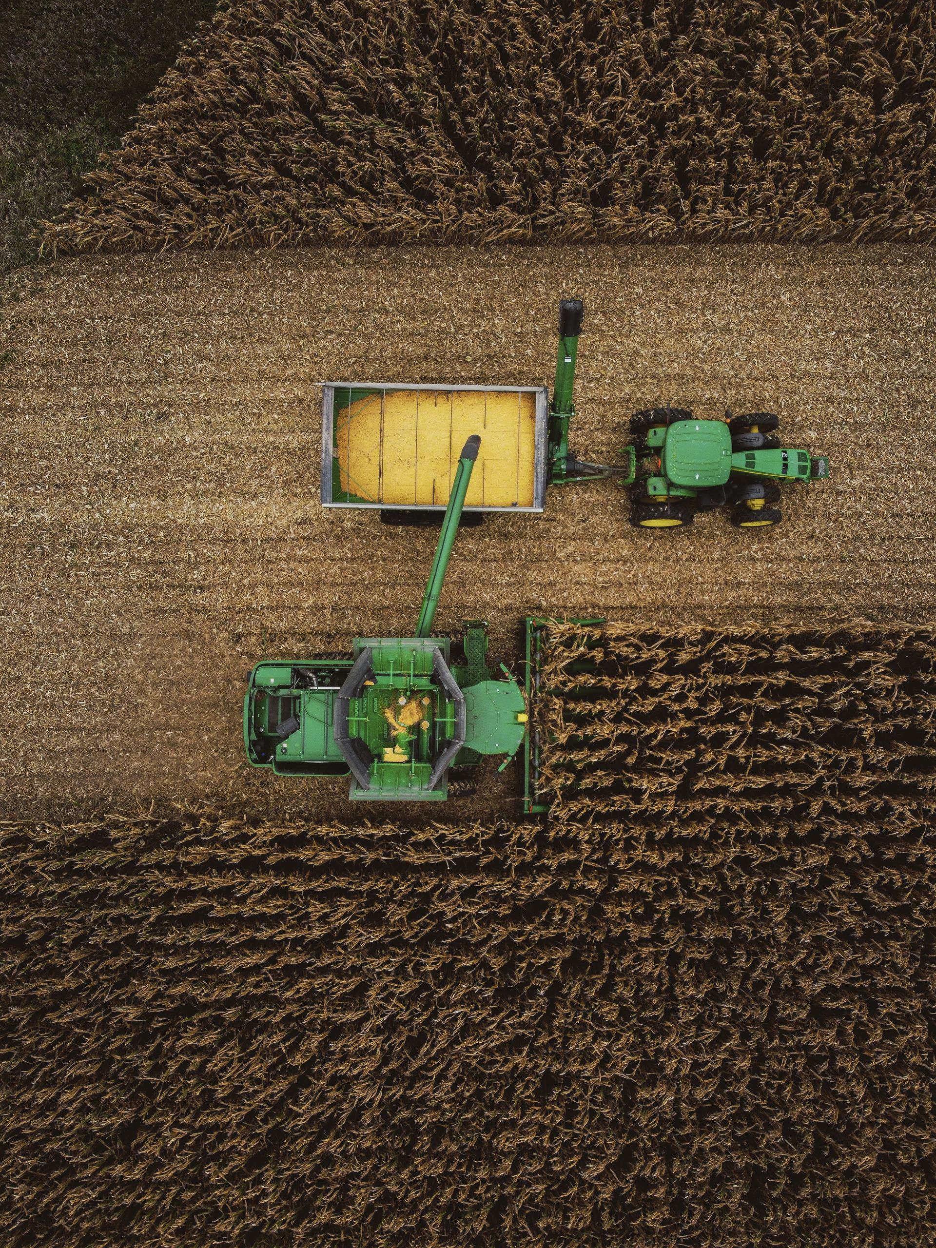 mac steens photo contest winner