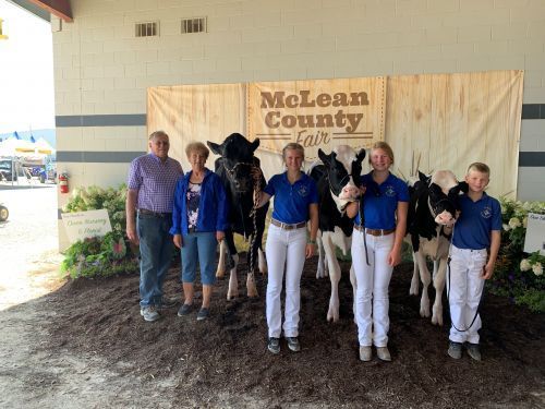 A group of people standing next to cows in front of a mclean county fair sign.