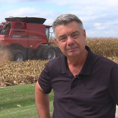 A man in a black shirt is standing in front of a combine harvester in a corn field.