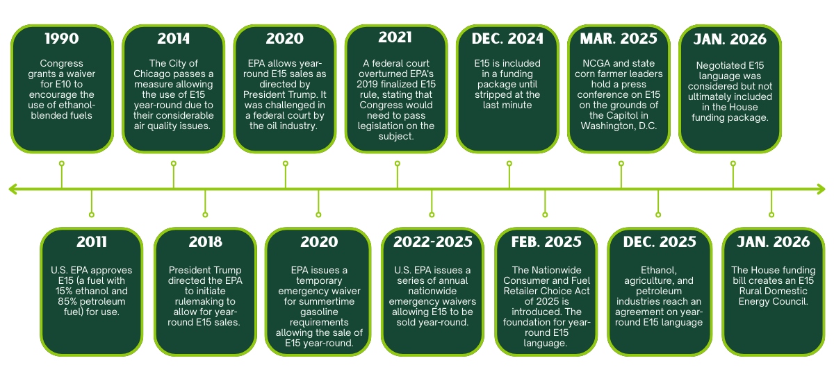 Timeline showing key dates and events for the development of the organization, with dark green boxes.